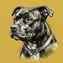 Staffy rescue dog illustration
